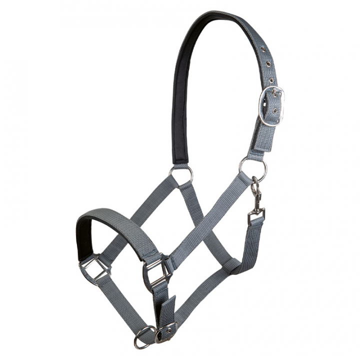 Bridle Charming Grey in the group Horse Tack / Halters / Fabric & Nylon Halters at Equinest (13429Gr_r)