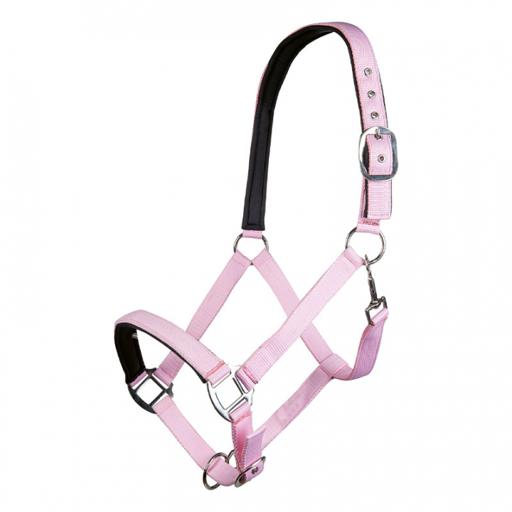 Bridle Charming Light Pink in the group Horse Tack / Halters / Fabric & Nylon Halters at Equinest (13429LjRs_r)
