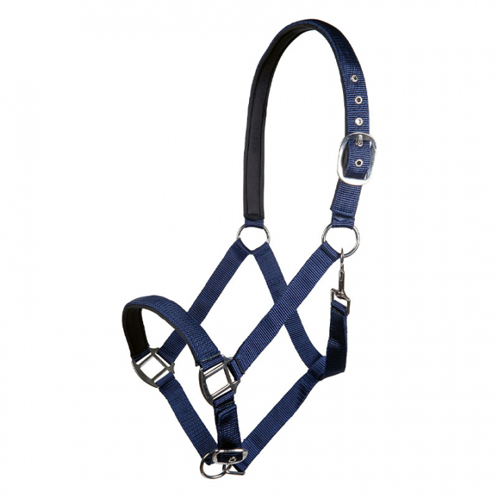 Bridle Charming Navy in the group Horse Tack / Halters / Fabric & Nylon Halters at Equinest (13429Ma_r)