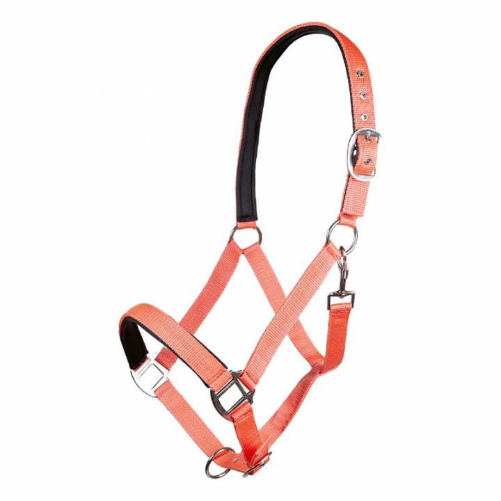 Bridle Charming Coral in the group Horse Tack / Halters / Fabric & Nylon Halters at Equinest (13429Or_r)