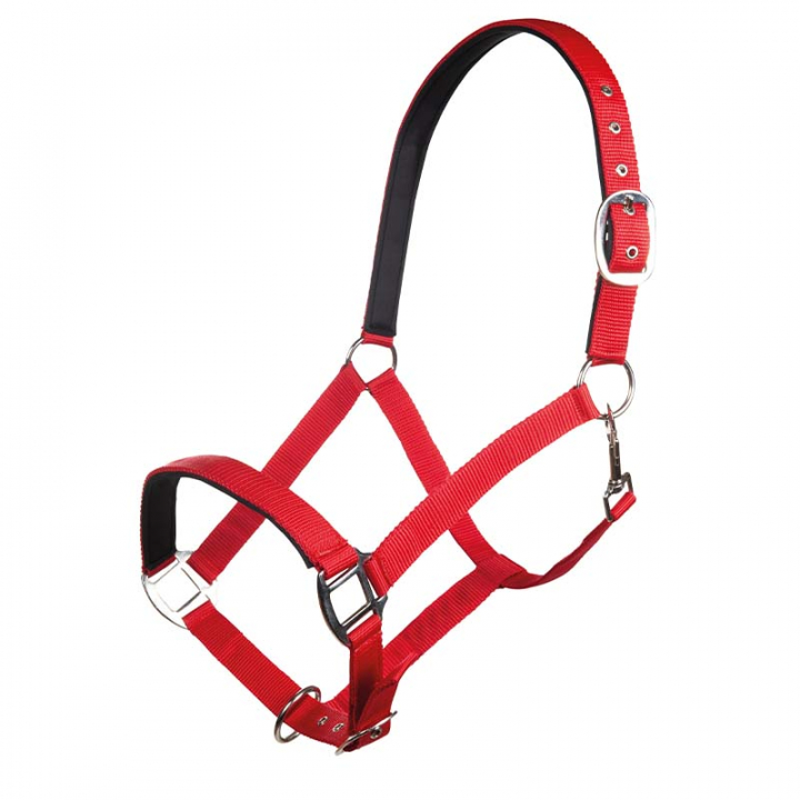 Bridle Charming Red in the group Horse Tack / Halters / Fabric & Nylon Halters at Equinest (13429Rs2_r)