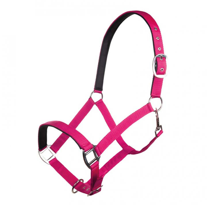 Bridle Charming Pink in the group Horse Tack / Halters / Fabric & Nylon Halters at Equinest (13429Rs_r)