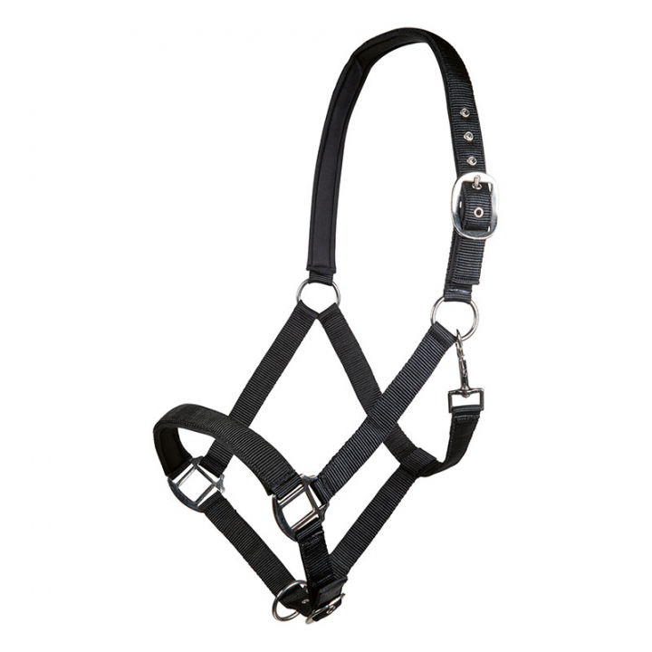 Bridle Charming Black in the group Horse Tack / Halters / Fabric & Nylon Halters at Equinest (13429Sv_r)