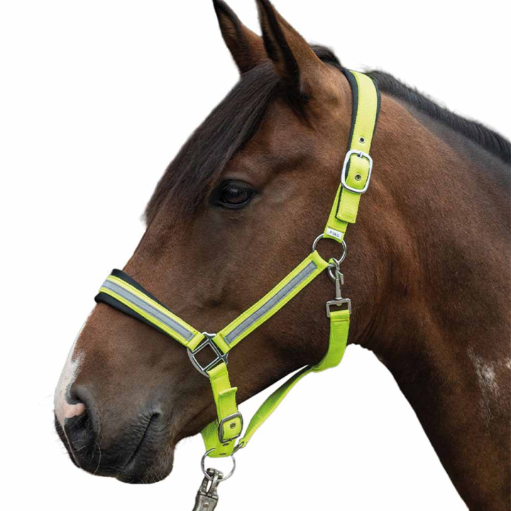Halter Reflective Yellow/Silver in the group Riding Equipment / Reflective Equestrian Wear at Equinest (14191YE)