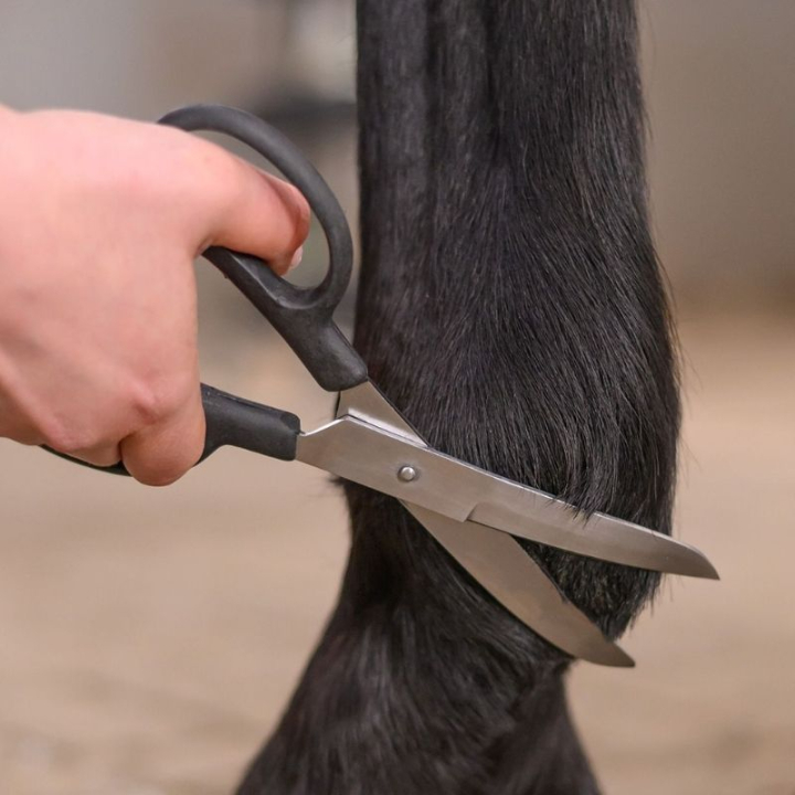 Scissors Fetlock Shears Bend Black in the group Grooming & Health Care / Horse Brushes / Scissors & Mane Thinning Knives at Equinest (154200BA)