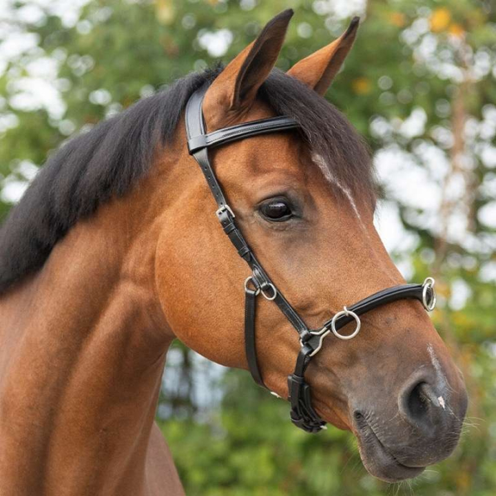 Caveson  Leather Black in the group Horse Tack / Lunging & Long Reining at Equinest (1699BA)