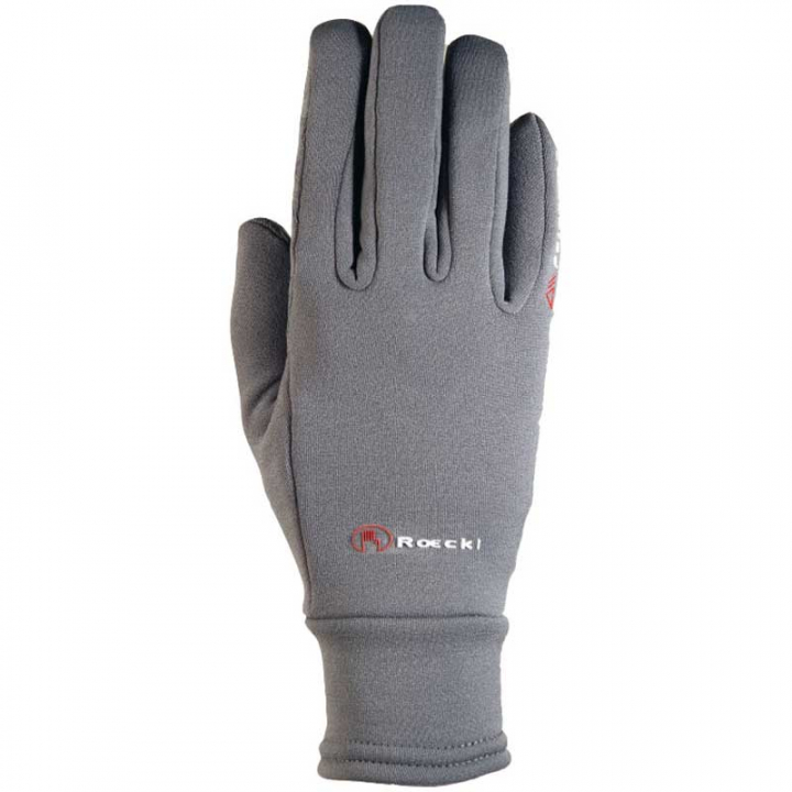Warwick Polartec Riding Glove Grey in the group Equestrian Clothing / Riding Gloves & Yard Gloves at Equinest (18081524Gr_r)