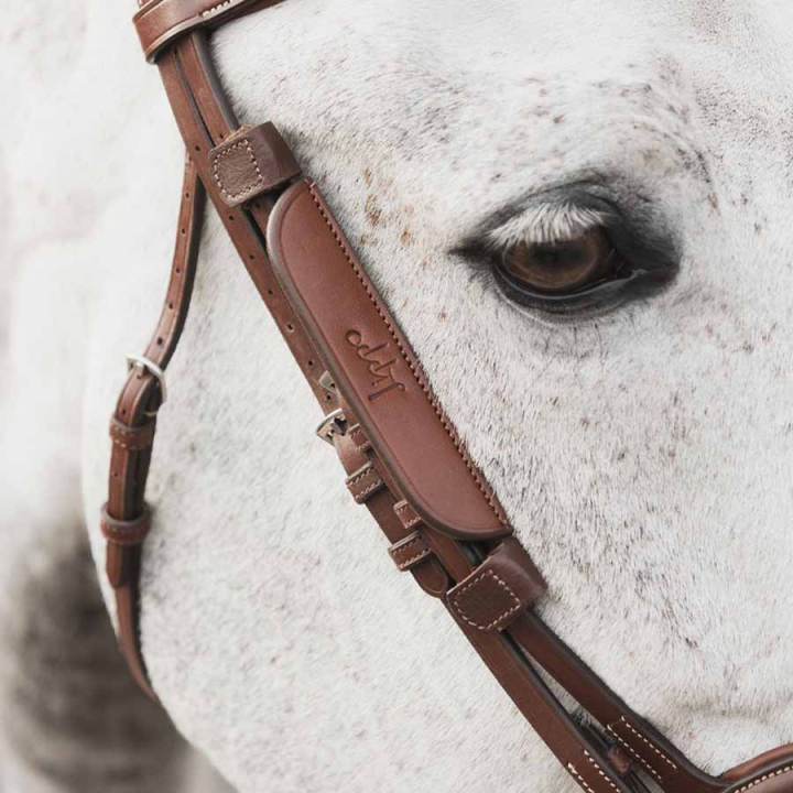 Blinkers Supreme Oak Bark in the group Horse Tack / Bridles & Browbands / Bridle Accessories at Equinest (201253OB_r)