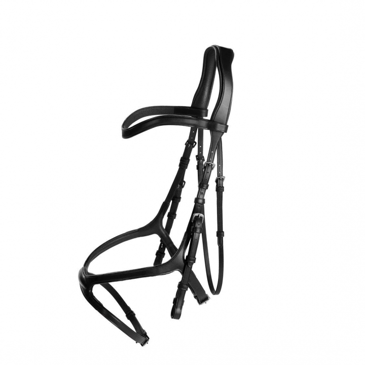 Bridle Arthur Black in the group Horse Tack / Bridles & Browbands / Bridles at Equinest (201312Sv_r)