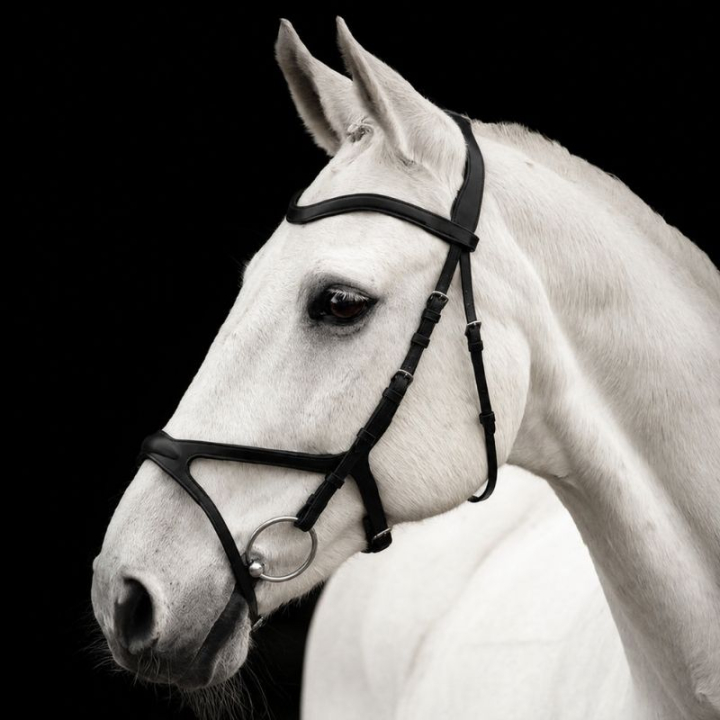 Bridle Arthur Black in the group Horse Tack / Bridles & Browbands / Bridles at Equinest (201312Sv_r)