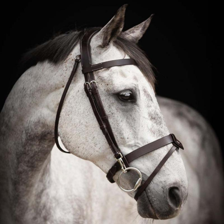 Bridle Trainer Basic Dark Brown in the group Horse Tack / Bridles & Browbands / Bridles at Equinest (204162DBR_r)