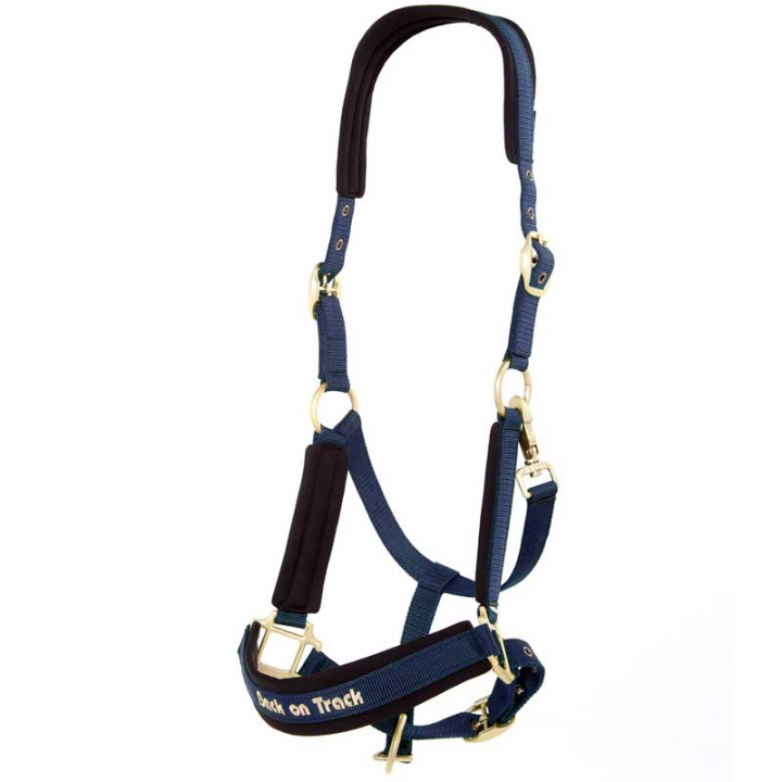 Bridle Werano Blue in the group Horse Tack / Halters / Fabric & Nylon Halters at Equinest (206400Bl_r)