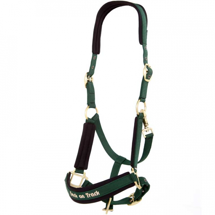 Bridle Werano Green in the group Horse Tack / Halters / Fabric & Nylon Halters at Equinest (206400Gn_r)