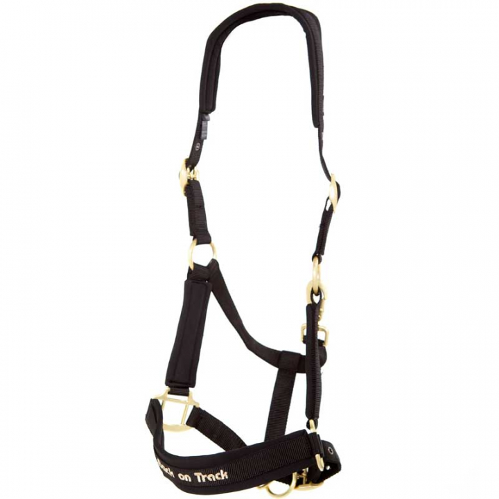 Bridle Werano Black in the group Horse Tack / Halters / Fabric & Nylon Halters at Equinest (206400Sv_r)