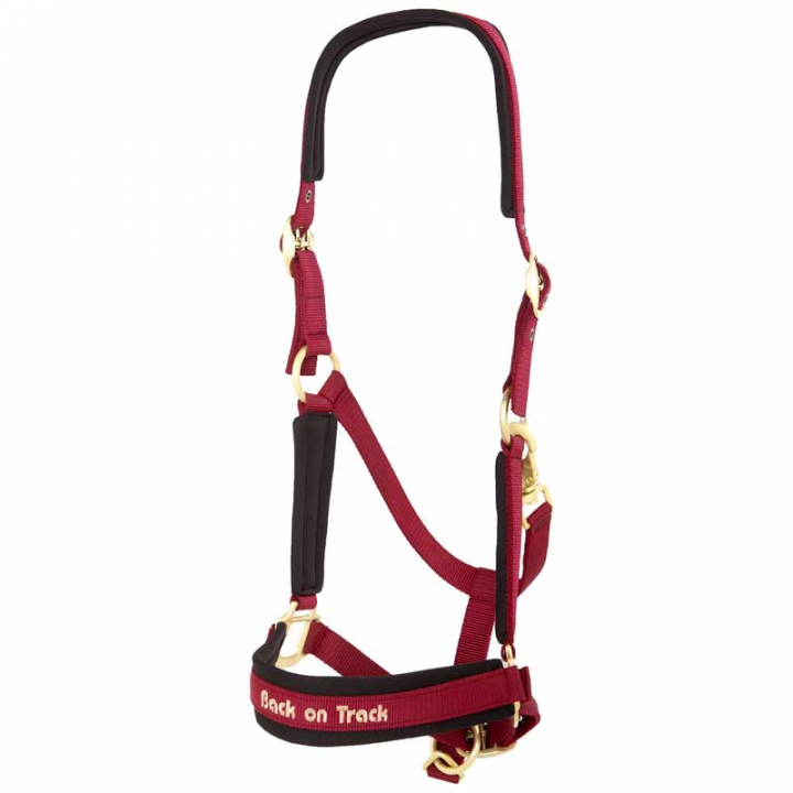 Bridle Werano Burgundy in the group Horse Tack / Halters / Fabric & Nylon Halters at Equinest (206400Vn_r)