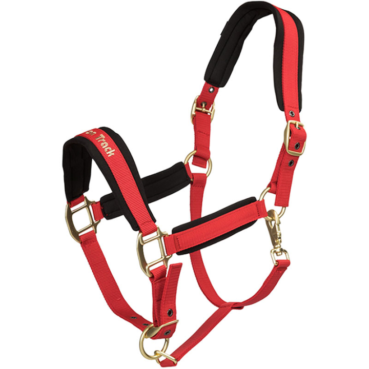 Halter Werano Red in the group Horse Tack / Halters / Fabric & Nylon Halters at Equinest (20644001RE_r)