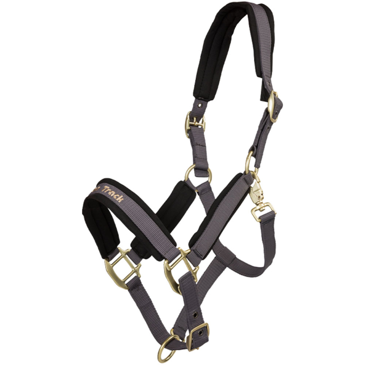 Halter Werano Grey in the group Horse Tack / Halters / Fabric & Nylon Halters at Equinest (20648701GR_r)