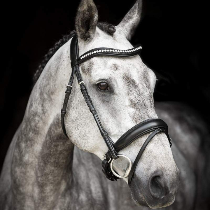 Dressage Bridle Courbette Black in the group Horse Tack / Bridles & Browbands / Double Bridle, Weymouth & Dressage Bridles at Equinest (208213Sv_r)