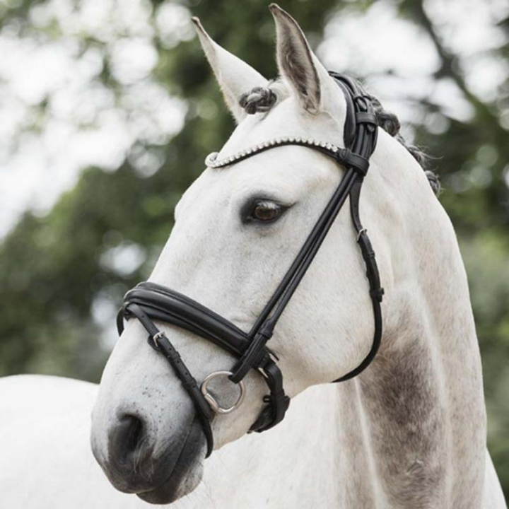 Dressage Bridle Caselle Supreme Black in the group Horse Tack / Bridles & Browbands / Double Bridle, Weymouth & Dressage Bridles at Equinest (208513BA_r)