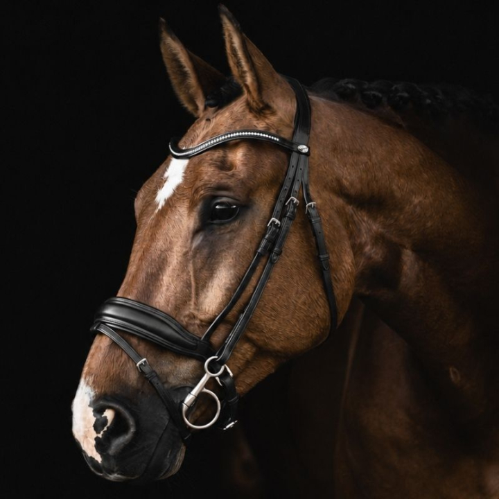 Dressage Bridle Integro Black in the group Horse Tack / Bridles & Browbands / Double Bridle, Weymouth & Dressage Bridles at Equinest (208613Sv_r)