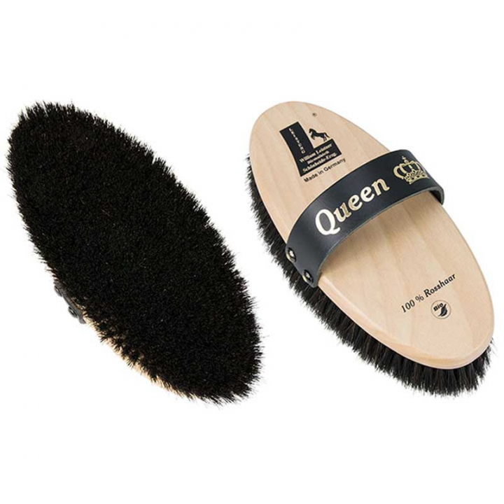 Dandy Brush in Horsehair Queen Small in the group Grooming & Health Care / Horse Brushes / Body Brushes at Equinest (22281C20)