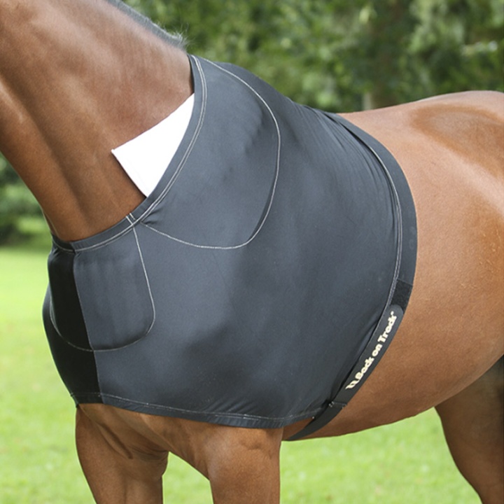 Shoulder Guards 125 in the group Horse Rugs / Horse Rug Accessories / Shoulder Guards at Equinest (23000025-125)