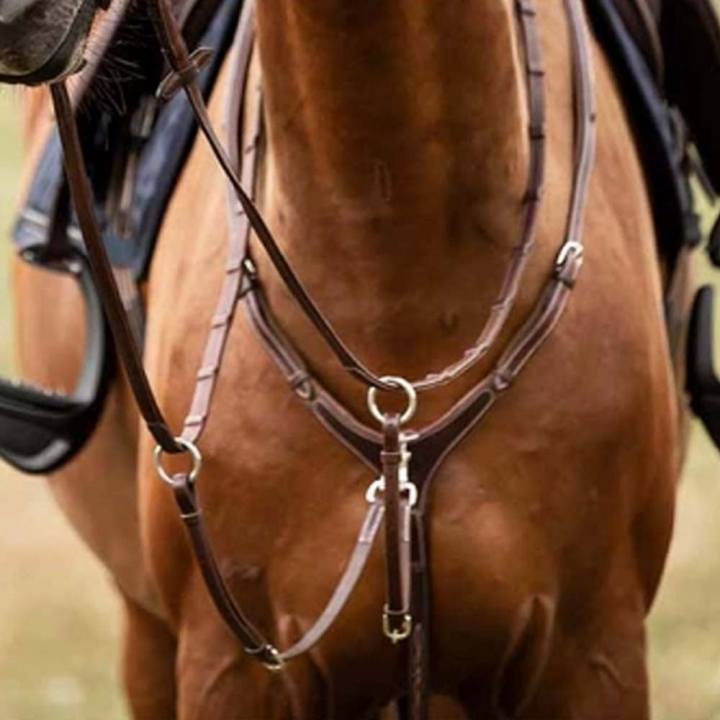Martingale & Breastplate Fazzino Brown in the group Horse Tack / Martingale & Breastplate / Breastplate at Equinest (235912Br_r)