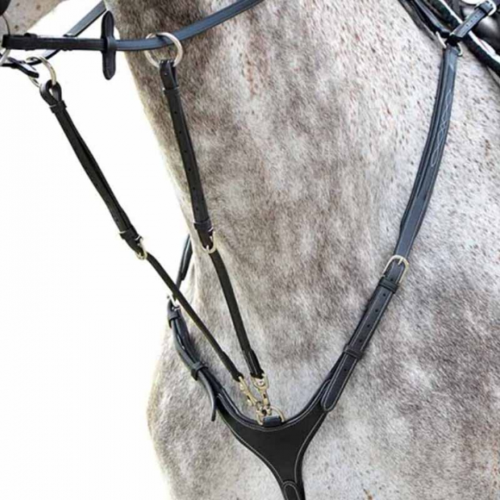 Martingale & Breastplate Fazzino Black in the group Horse Tack / Martingale & Breastplate / Breastplate at Equinest (235912Sv_r)