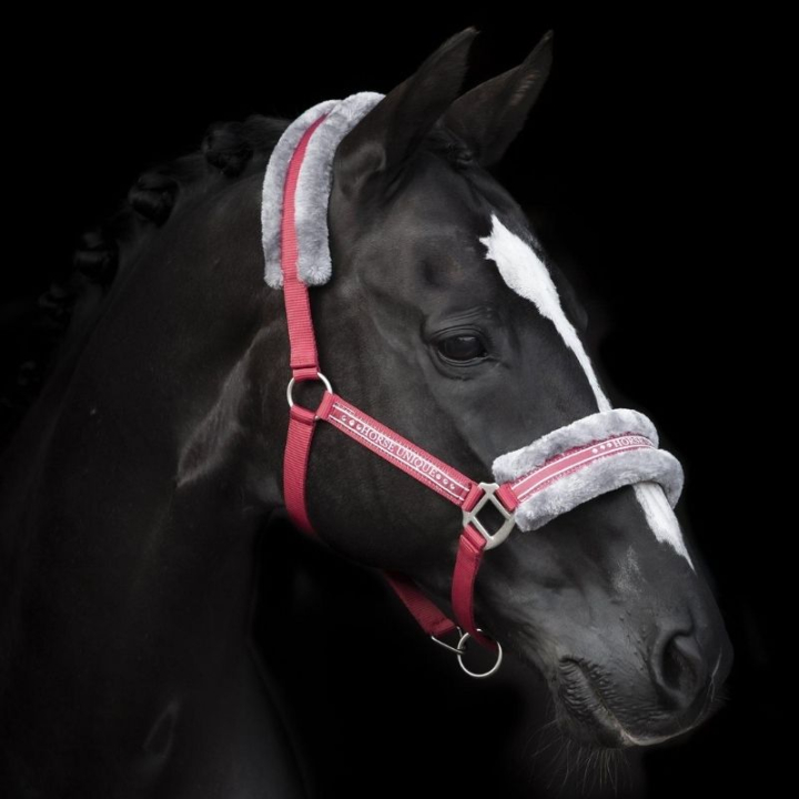 Halter with Fleece Red/Grey in the group Horse Tack / Halters / Fabric & Nylon Halters at Equinest (243082REGR_r)