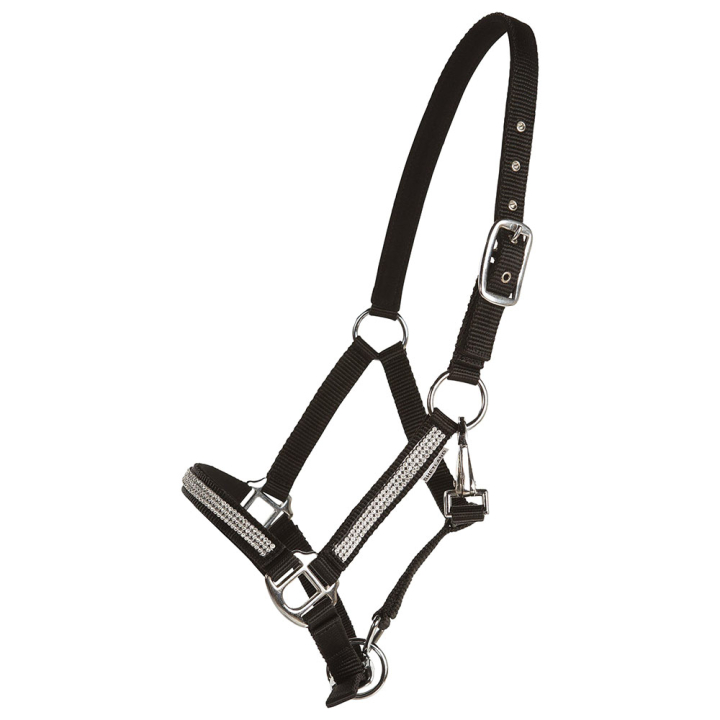 Halter Mini Strass Black in the group Horse Tack / Halters at Equinest (243410BA_r)