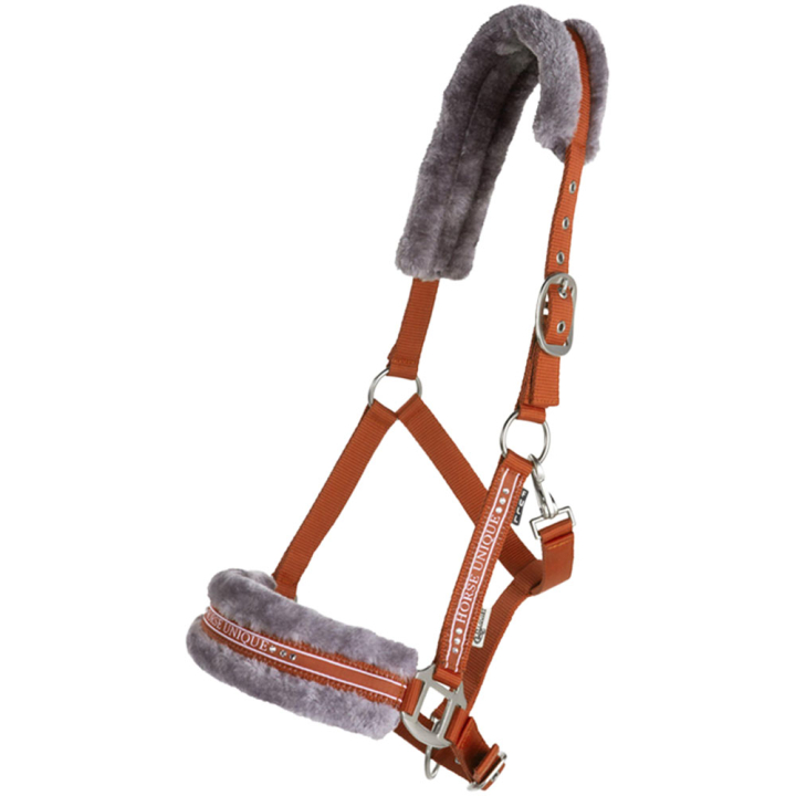 Halter with Fleece Orange/Grey in the group Horse Tack / Halters / Fabric & Nylon Halters at Equinest (243642ORGR_r)
