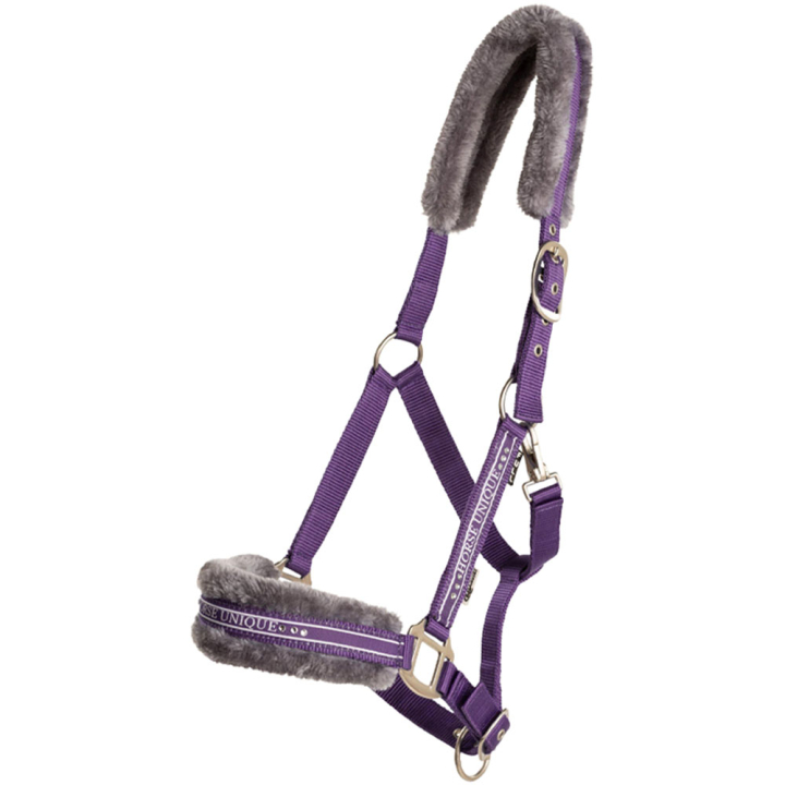 Halter with Fleece Purple/Grey in the group Horse Tack / Halters / Fabric & Nylon Halters at Equinest (243652PUGR_r)