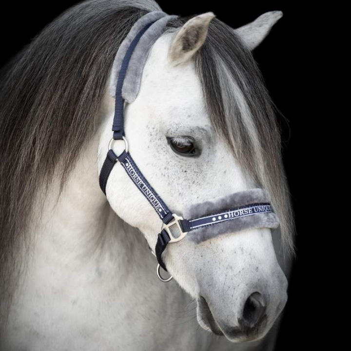 Halter with Fleece Navy/Grey in the group Horse Tack / Halters / Fabric & Nylon Halters at Equinest (243720NAGR_r)