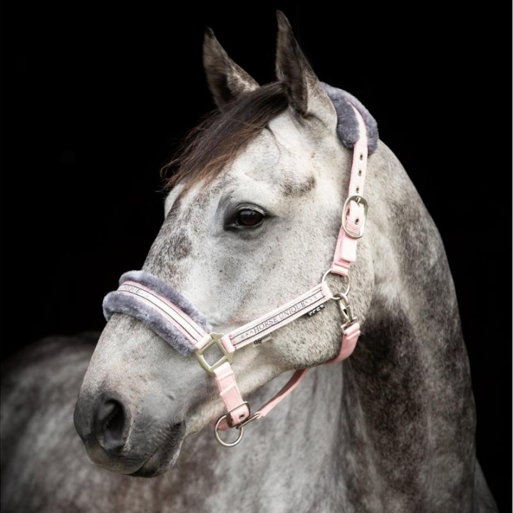 Halter with Fleece Light Pink/Grey in the group Horse Tack / Halters / Fabric & Nylon Halters at Equinest (243750LPIGR_r)