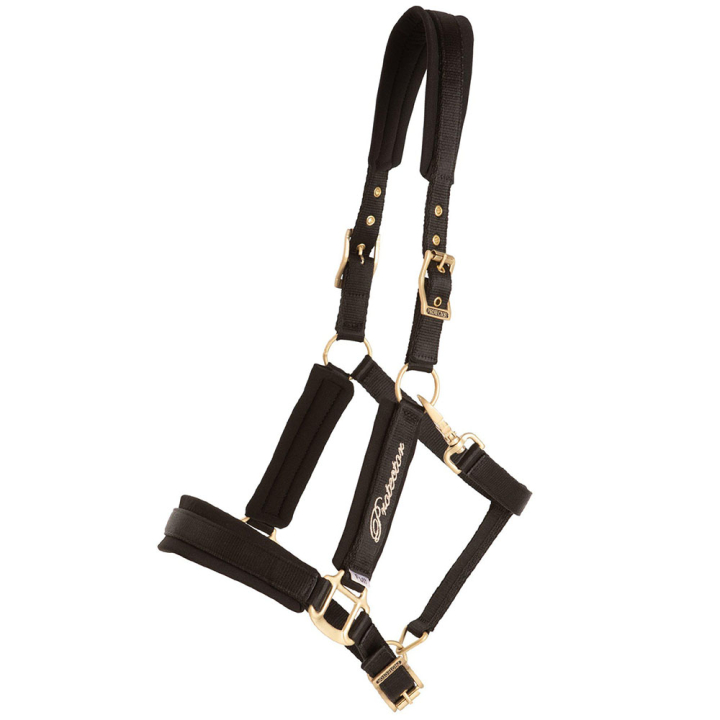 Halter Comfort Black in the group Horse Tack / Halters at Equinest (244312BA_r)