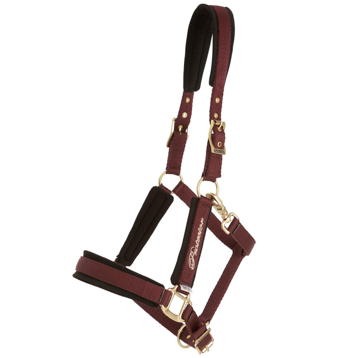 Halter Comfort Bordeaux in the group Horse Tack / Halters at Equinest (244342WN_r)