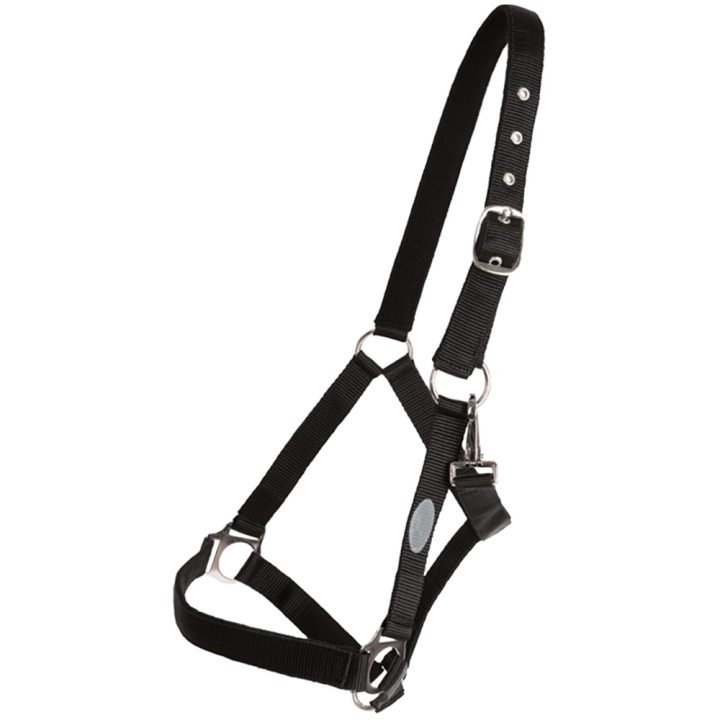 Halter Basic Black in the group Horse Tack / Halters / Fabric & Nylon Halters at Equinest (244912BA_r)