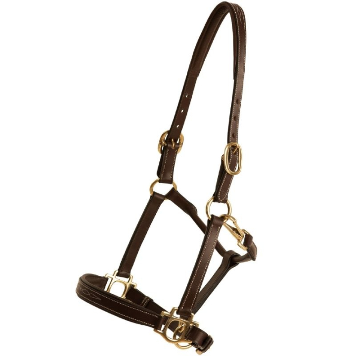 Leather Halter Fancy Brown in the group Horse Tack / Halters / Leather Halters at Equinest (245052BR_r)