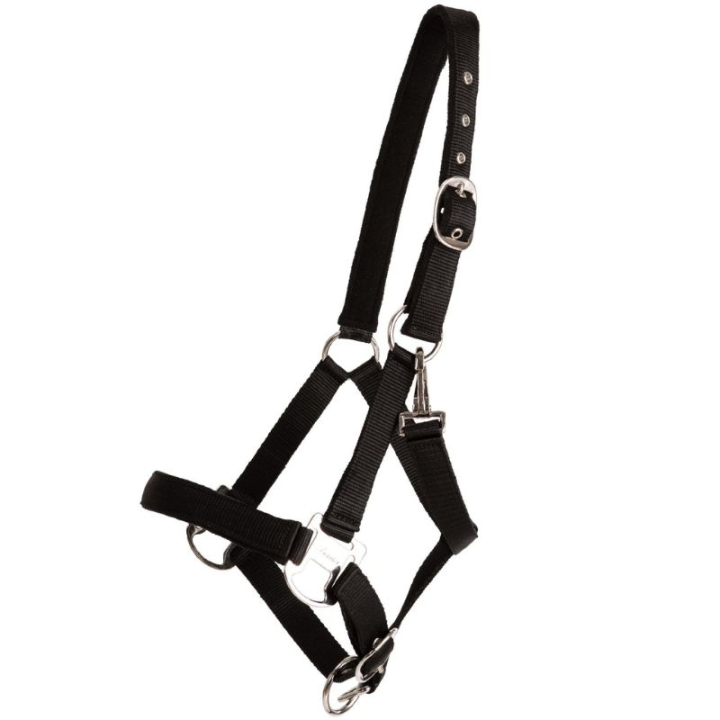 Halter Double Buckle Black in the group Horse Tack / Halters / Fabric & Nylon Halters at Equinest (246212BA_r)