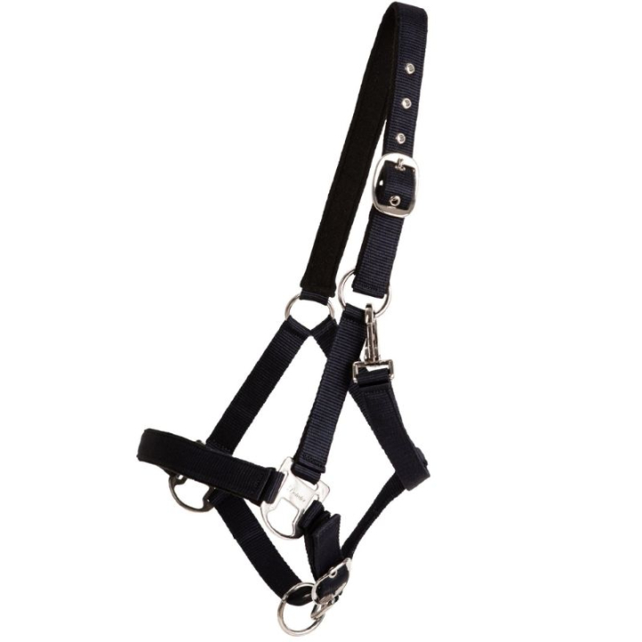 Halter Double Buckle Navy Blue in the group Horse Tack / Halters / Fabric & Nylon Halters at Equinest (246222NA_r)