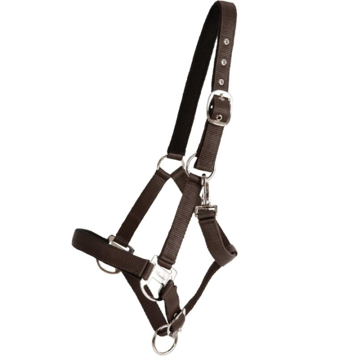 Halter Double Buckle Brown in the group Horse Tack / Halters / Fabric & Nylon Halters at Equinest (246252BR_r)