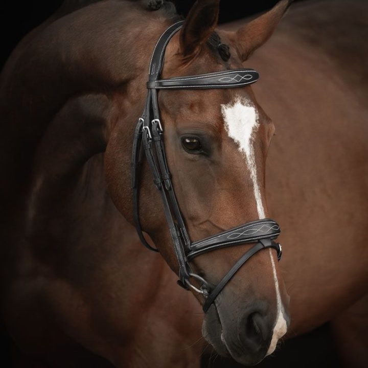 Bridle Supreme Fancy Black in the group Horse Tack / Bridles & Browbands / Bridles at Equinest (260413BA)