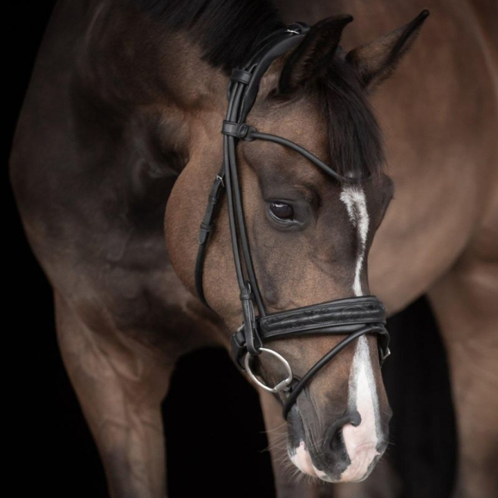 Dressage Bridle Quinsy Supreme Black in the group Horse Tack / Bridles & Browbands / Double Bridle, Weymouth & Dressage Bridles at Equinest (260813BA_r)