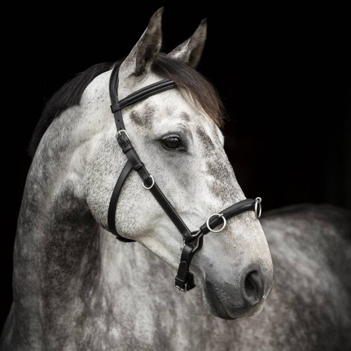 Cavesson Supreme Black in the group Horse Tack / Lunging & Long Reining at Equinest (280613BA_r)