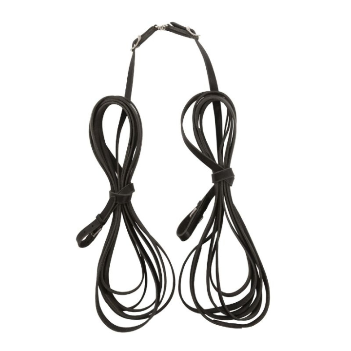 Lunge Reins Black in the group Horse Tack / Lunging & Long Reining at Equinest (284212BA_r)