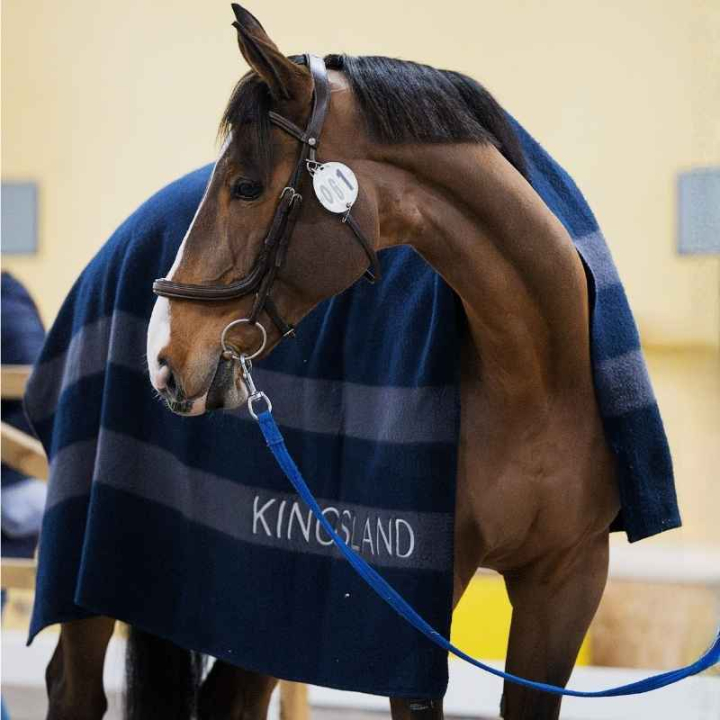 Wool Blanket Classic Navy Blue in the group Horse Rugs / Wool Rugs at Equinest (3156260202031NA)
