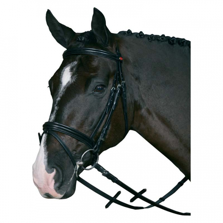 Bridle with Reins HG Black in the group Horse Tack / Bridles & Browbands / Bridles at Equinest (31570BA)