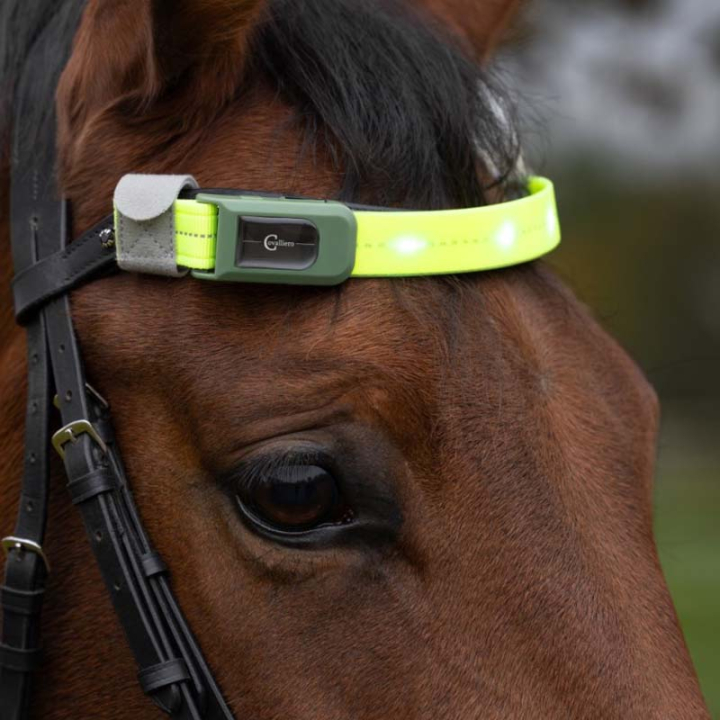 Headband High-Visibility LED Yellow in the group Riding Equipment / Reflective Equestrian Wear at Equinest (3230420YE)