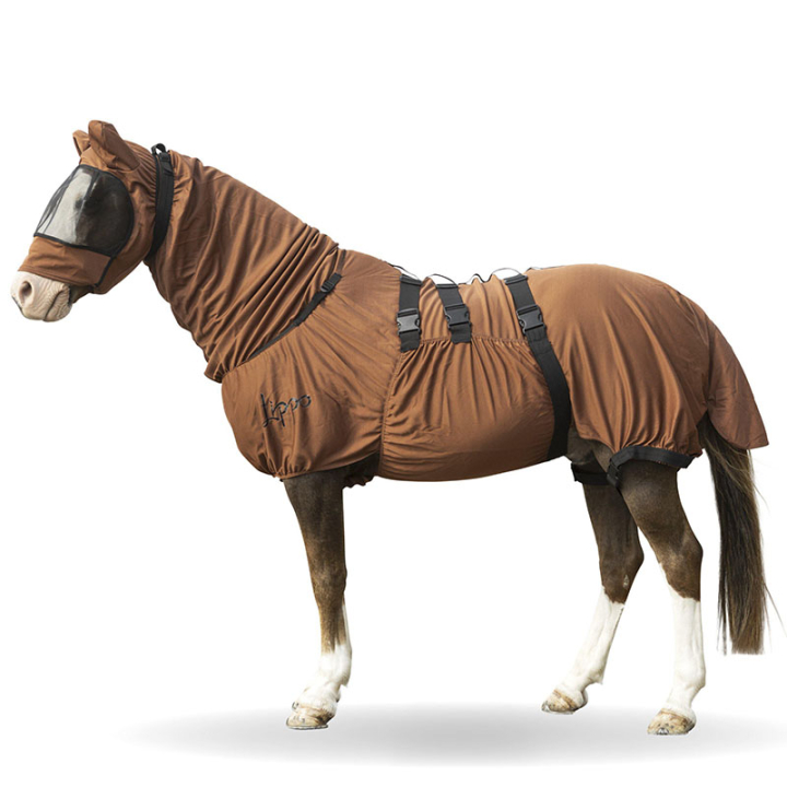 Sweetitch Rug UV-Protection Plus Brown in the group Fly Protection / Rugs at Equinest (330805BR_r)