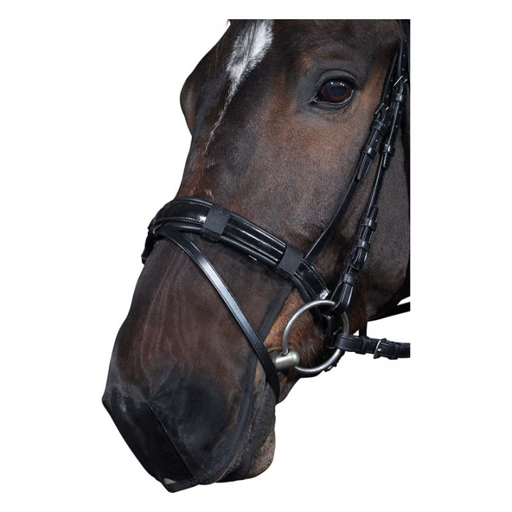 Mesh Fly Mask HG Black in the group Horse Tack / Bridles & Browbands / Bridle Accessories at Equinest (33760BA)